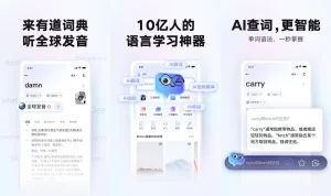 网易有道翻译实时翻译延迟？提升速度的实用技巧？