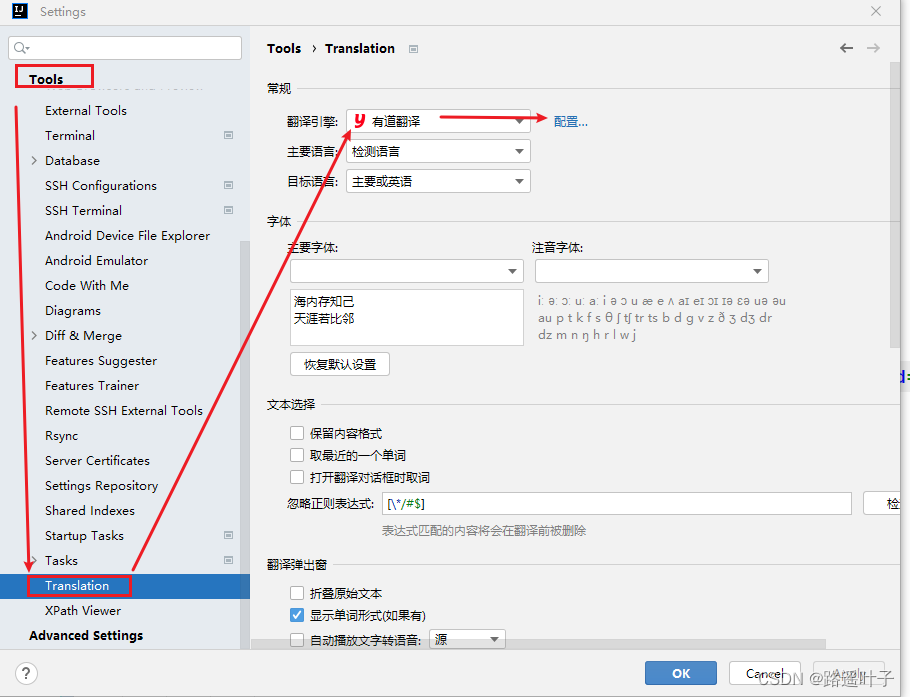 网易有道翻译登录异常？账号与验证码全解决